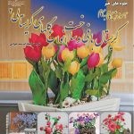 کتاب کریستال بافی و ساخت انواع گلهای کریستالی 2